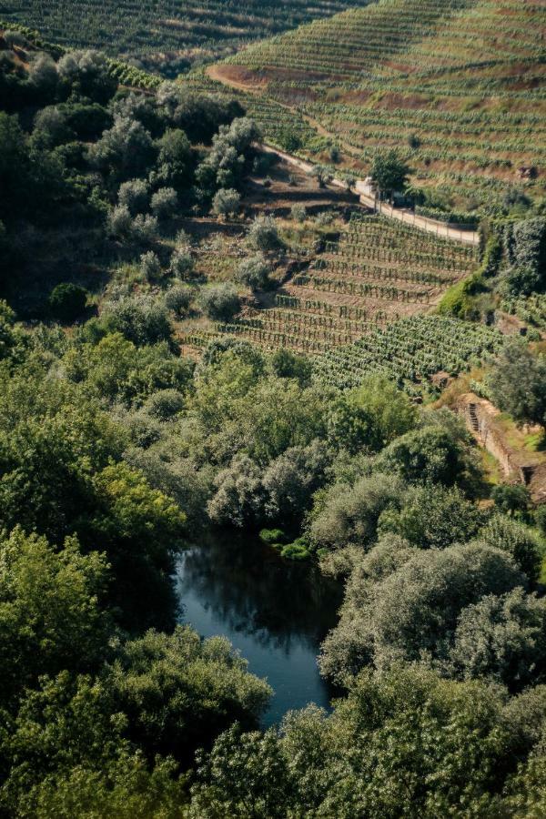 Вилла Quinta Do Vale Da Ermida - Private Heated Pool - By Met Экстерьер фото